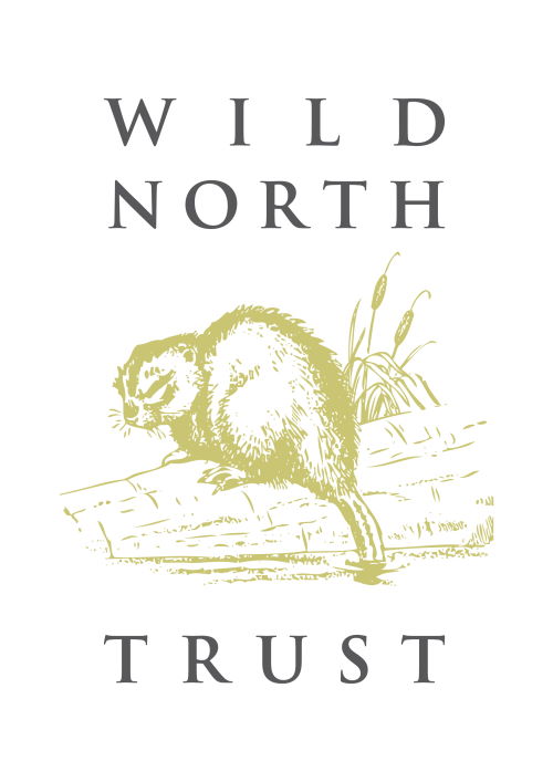 Wild North Trust